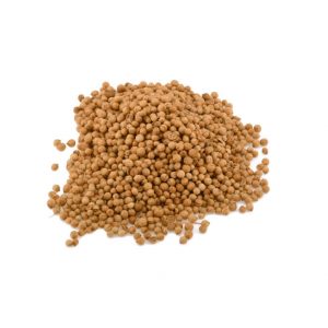 כוסברה שלמה (זרעים)- Coriander seeds